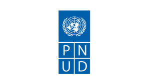 UNDO_Co_GEN_Logo_PNUD_No_Slogan_largo-04